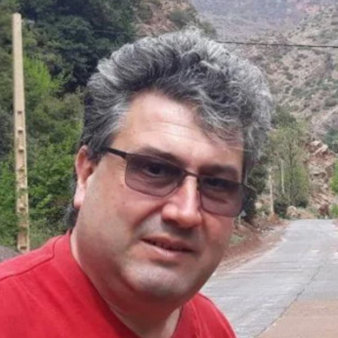 Professor, PhD, Valentin Partenie MUNTEANU